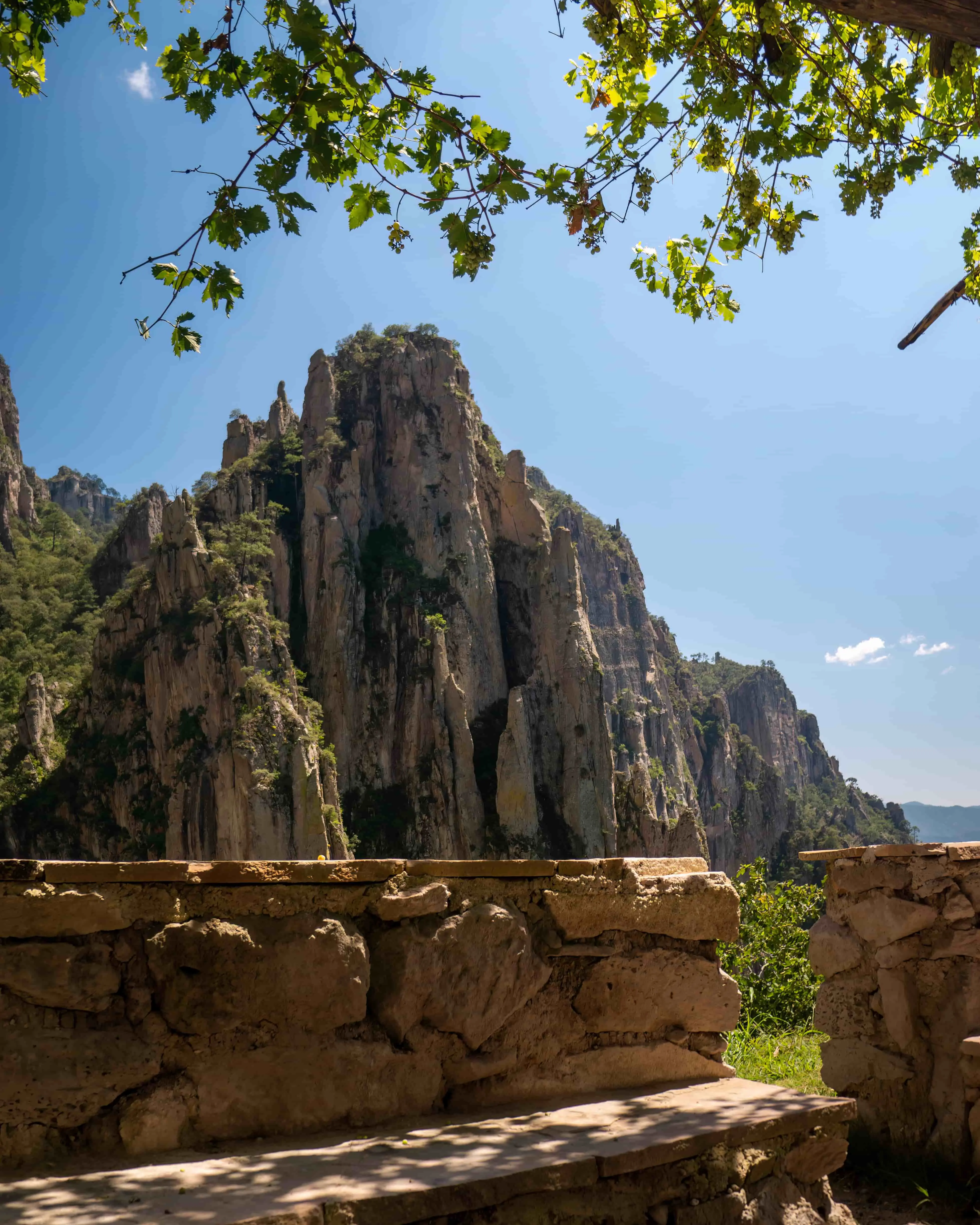 Proyecto Nativo Zima Azul